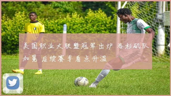 美国职业大联盟冠军出炉 洛杉矶队加冕 后续赛季看点升温