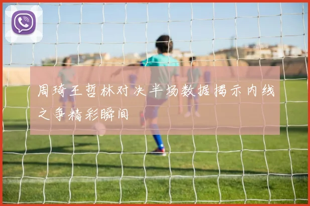 周琦王哲林对决半场数据揭示内线之争精彩瞬间