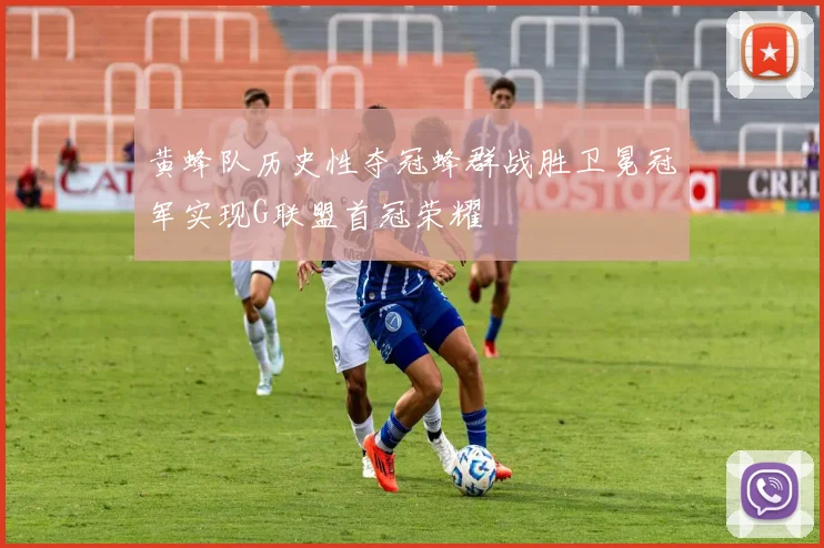 黄蜂队历史性夺冠蜂群战胜卫冕冠军实现G联盟首冠荣耀