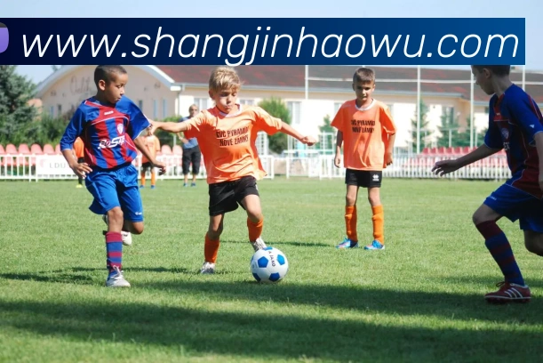 App Interface Preview